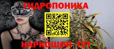ешки Новодвинск
