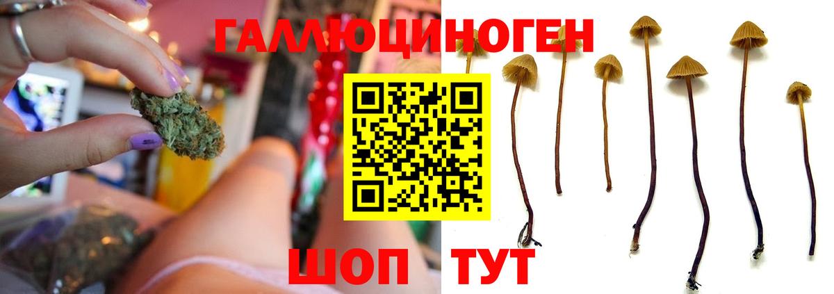 наркота  Вход с VPN  Радужный  Галлюциногенные грибы MAGIC MUSHROOMS 